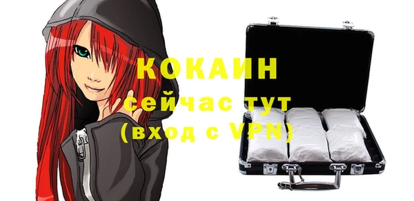 шишки Абинск