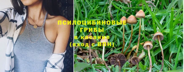 шишки Абинск